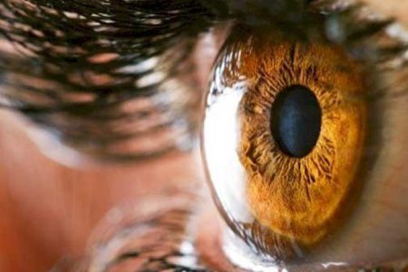 خلايا الشبكية المزروعة بالمختبر تفتح باب التجارب السريرية لعلاج العمى