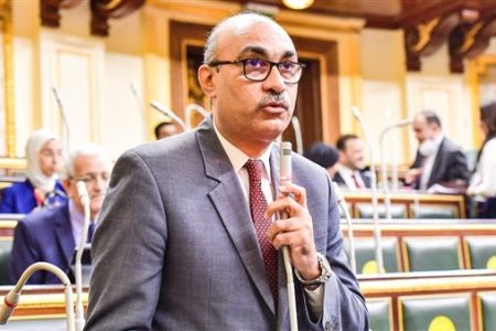 برلماني: أحمل هموم 13 مليون من ذوى الإعاقة و20 مليون بتكافل وكرامة