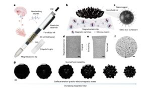 يتكون القلم التشخيصي من مكونين رئيسيين؛ طرف مرن مغناطيسي وحبر مغناطيسي - undefined